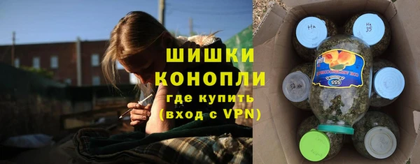 молекула духа Бородино