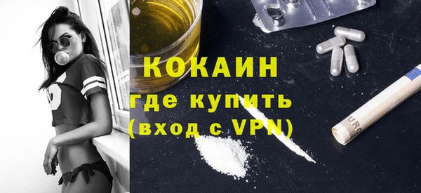 молекула духа Бородино